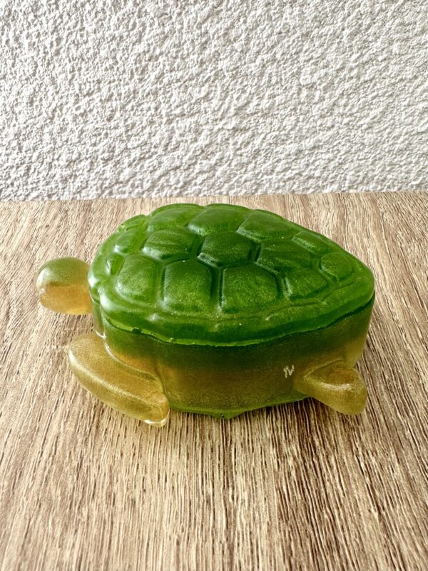 Petite Boite tortue verte