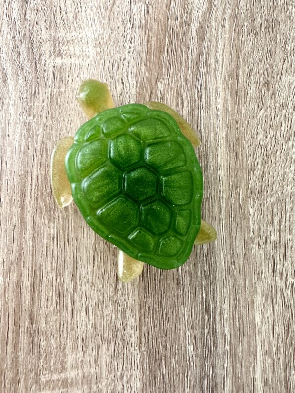 Petite Boite tortue verte – Image 3