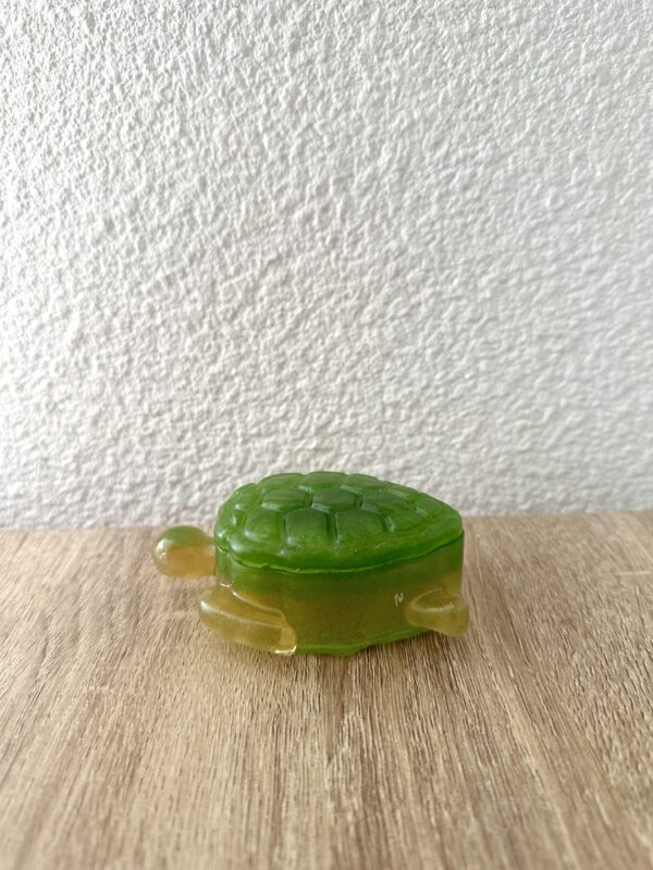 Petite Boite tortue verte – Image 4