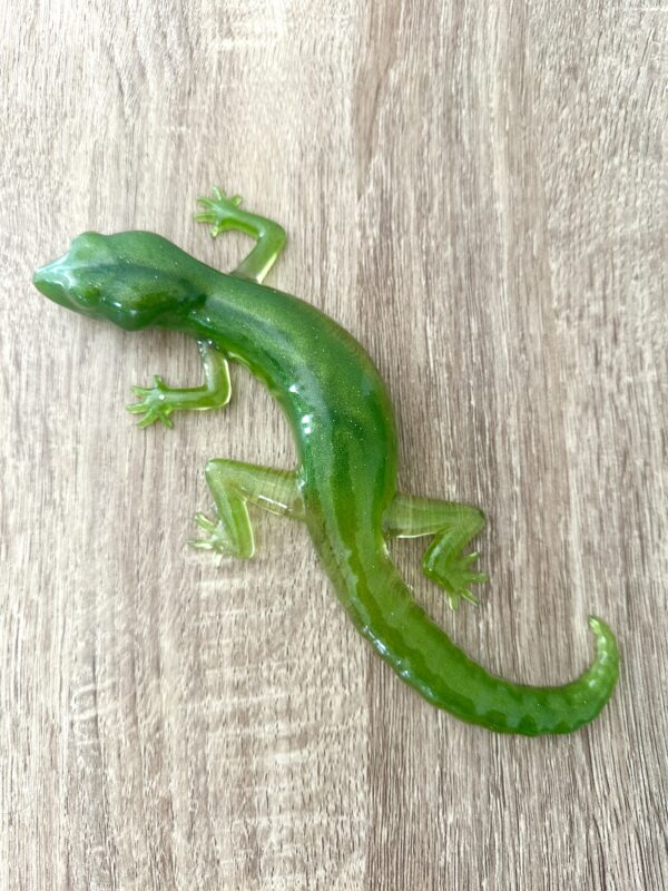 Lézard Vert kaki – Image 3