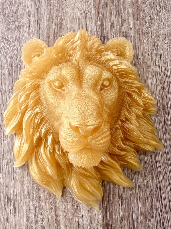 Tête de lion