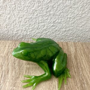 Grenouille verte