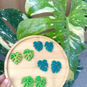 Pampilles Monstera