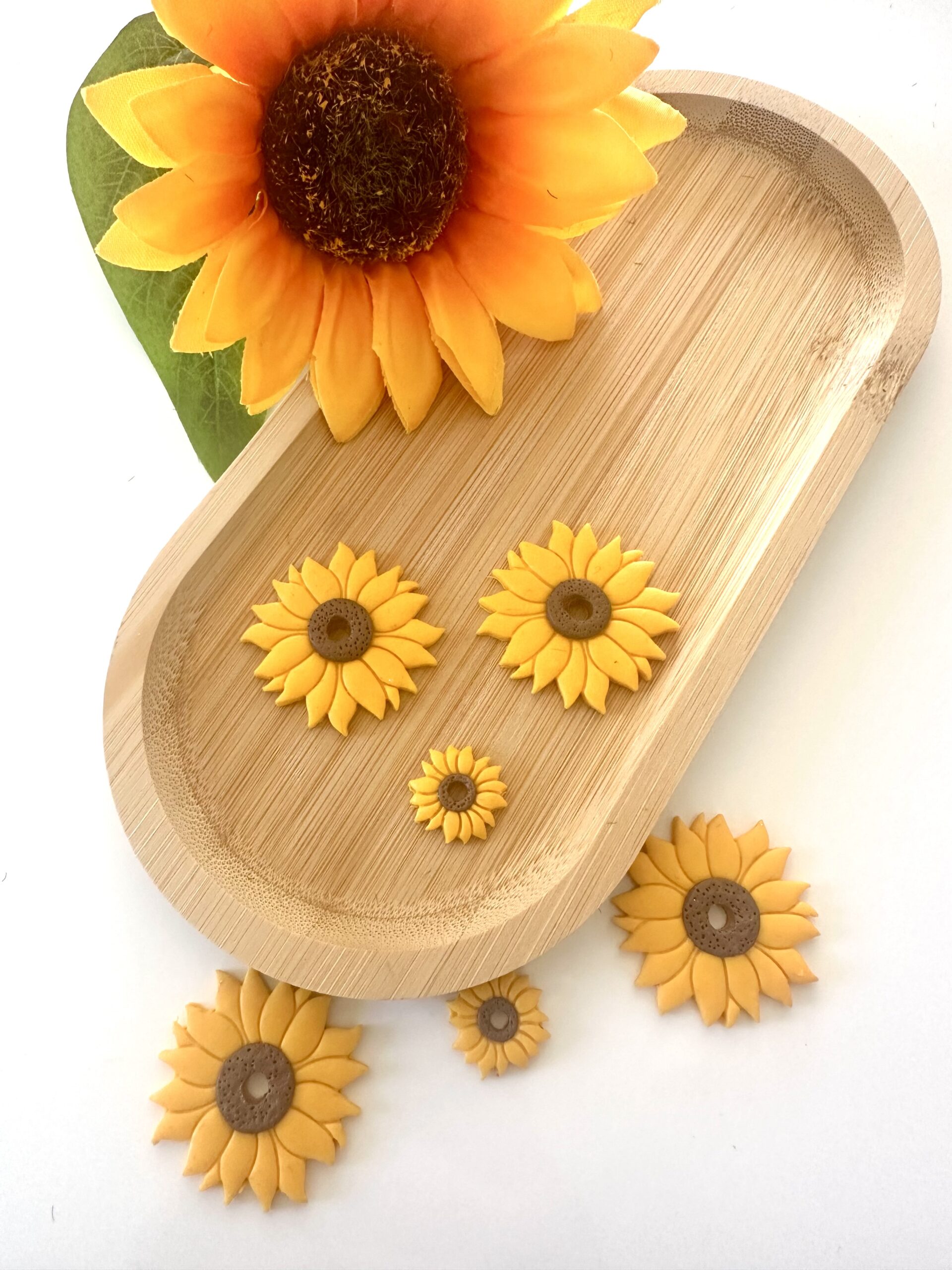 Pampilles Tournesols